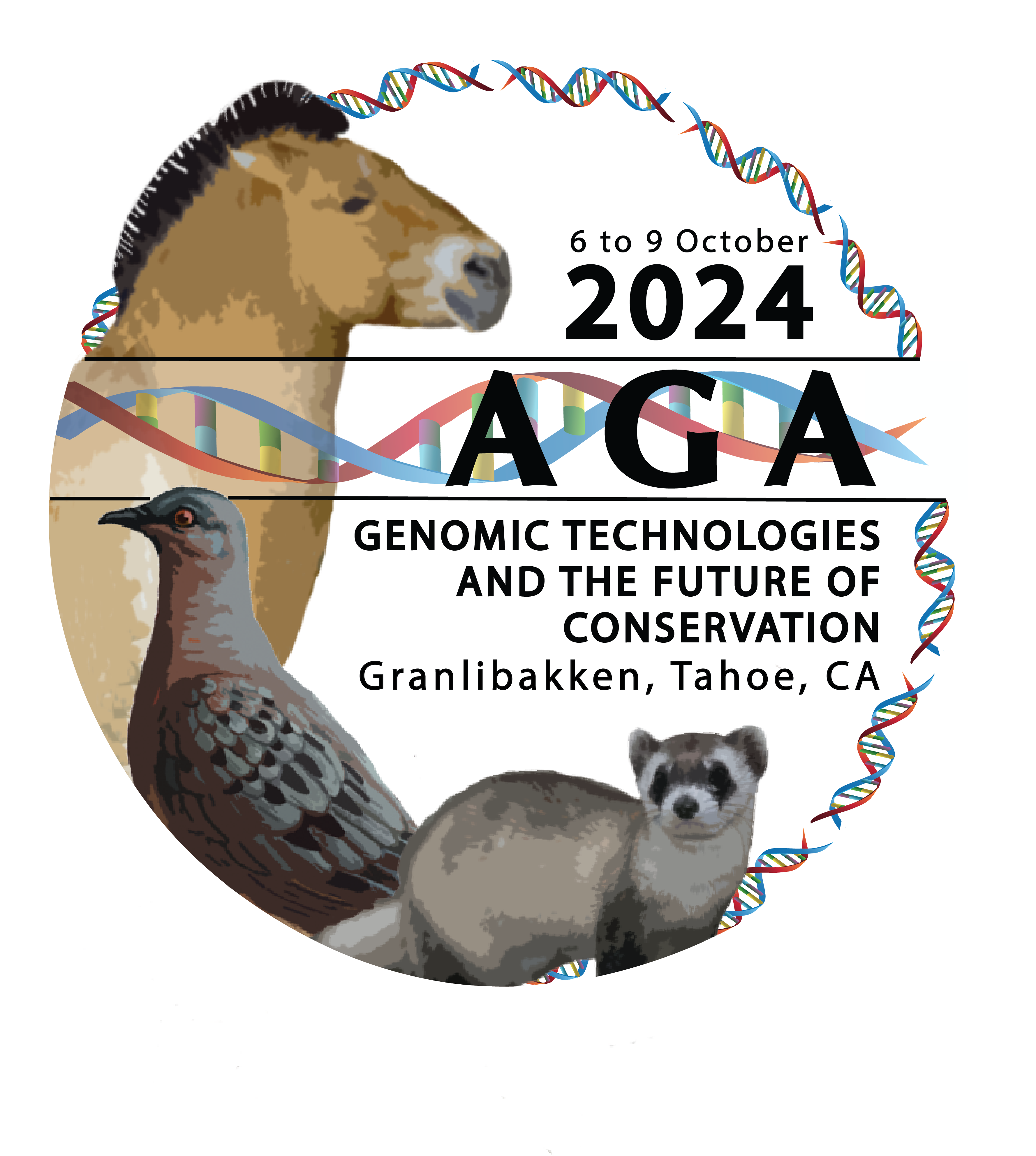 AGA 2024